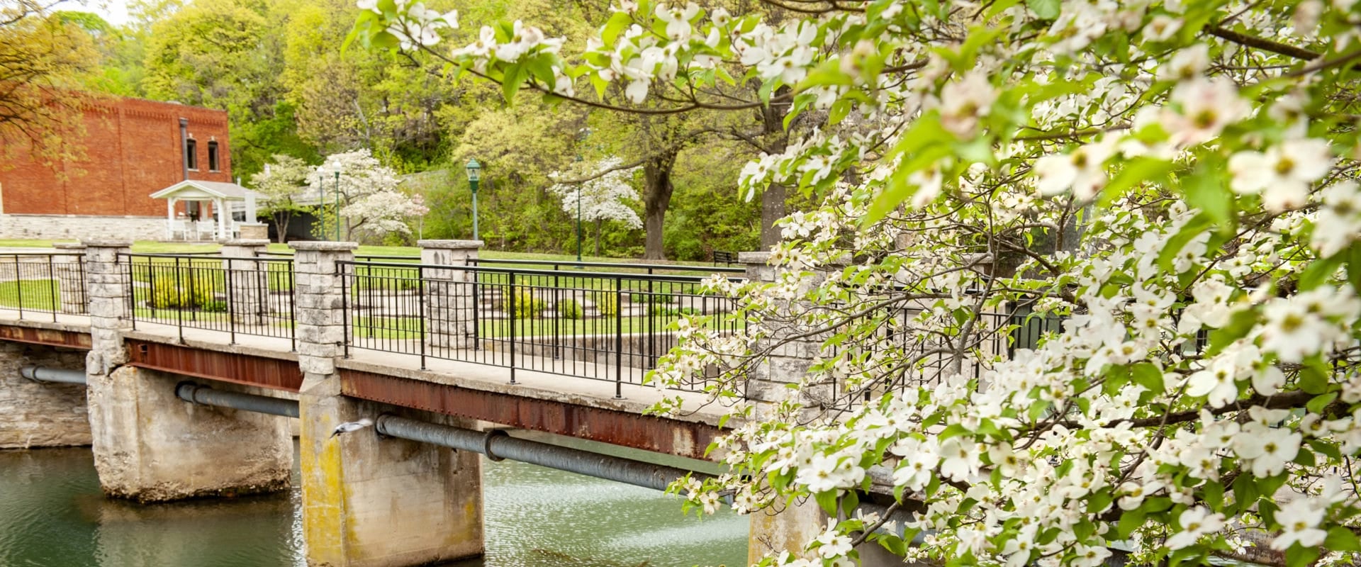 The Importance of Educational and Informational Booths at Spring Festivals in Northwest Arkansas