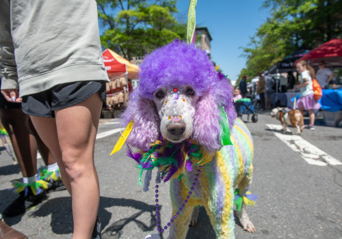 The Pet-Friendly Spring Festivals in Northwest Arkansas: A Local Expert's Perspective