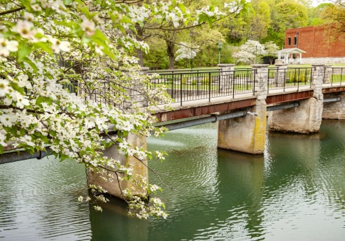 The Importance of Educational and Informational Booths at Spring Festivals in Northwest Arkansas